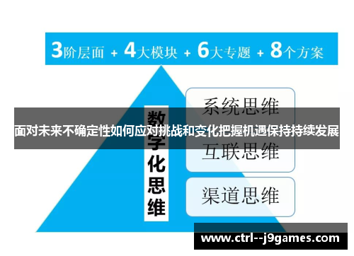 面对未来不确定性如何应对挑战和变化把握机遇保持持续发展